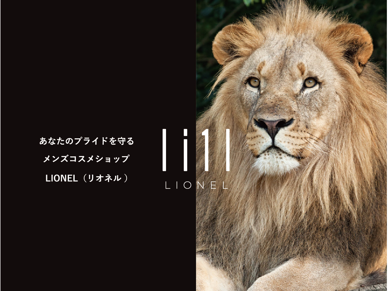 li1l LIONEL (リオネル）