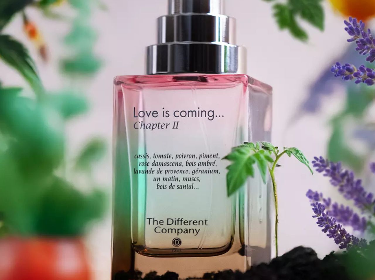The Different Company（ザディファレントカンパニー） 正規販売店 