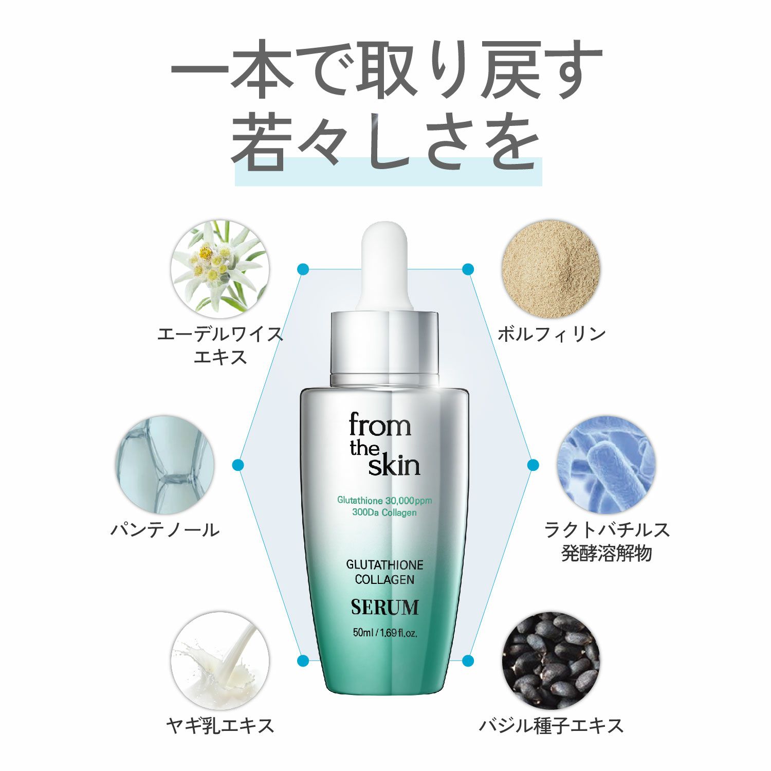 フロムザスキン グルコラ セラム 50g フロムザスキン グルコラ セラム 50gの業務用通販サイト【b-zone】(REVO+)